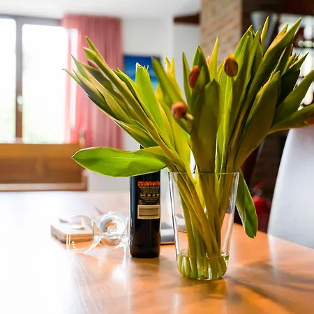 Spacious Group Getaway With Garden, Cleaning Included Ulestraten